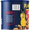 PLANTERS Salted Dry Roasted Peanuts, Party Snacks, Plant Based Protein