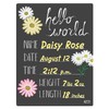 Cohas Hello World Newborn Baby Announcement Chalkboard Sign with Daisy