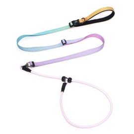 QQPETS Adjustable Slip Lead Dog Leash, Hands Free Waist Leash for Dog Walking, Reflective Training Lead with 360° Swivel Anti-Tangle, 4-7 ft Length for All Breeds
