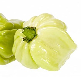 Pepper Seeds - Hot - Habanero White - .25 Oz ~1,250 Seeds - Capsicum chinense - Farm & Garden Vegetable Seeds - Non-GMO, Heirloom, Open Pollinated, Annual