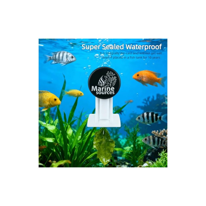 Clip magnético para Alimentar Algas Marinas en acuarios de Agua