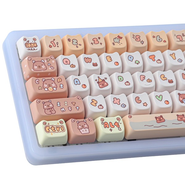 JakeTsai MAO Profile PBT Keycaps 60 percent, 137 Keys Custom