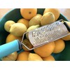 SimSim Super Sharp Professional Grater 2 in 1 Kitchen Grater
