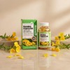 Mongul Cloud Partners Evening primrose oil gamma linolenic acid efficacy