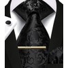 Enlision Men's Ties Black for Wedding Paisley Necktie Formal Business