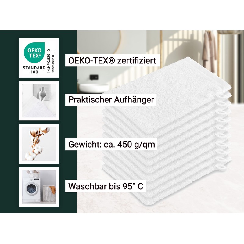 ZOLLNER Set of 10 Wash Mitts in 16 x 21