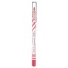 Pastel Show Long Lasting Lip Pencil 204