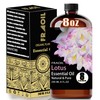 Lotus Essential Oil, Lotus Oil 8 Fl Oz 240ML for