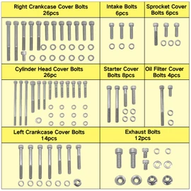 BIGLKNM 102pcs Engine Bolt Screw Kit Set for Honda TRX400EX 400EX 400X SPORTRAX, Car Replacement Accessories Compatible with Honda TRX400EX, Polished Stainless Steel Engine Bolt Kit