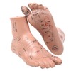 【Recommended by Bodywork Therapists, Easy to Understand Japanese Text, Systematically