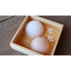Natural Konjac Sponges - Pack of 2 - Sakura and