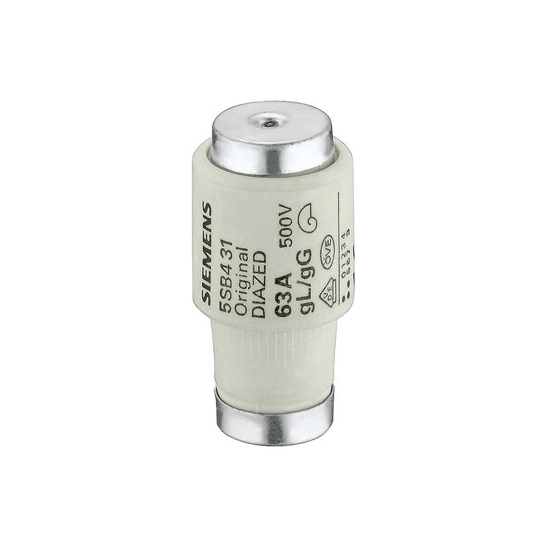 Fuse diazed gG DIII 35A 500V - Fuse System D