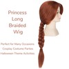 Miss U Hair Long Reddish Brown Braided Wig Cosplay Party