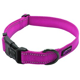 Max and Neo NEO Nylon Buckle Reflective Dog Collar - We Donate a Collar to a Dog Rescue for Every Collar Sold (Medium, Pink)