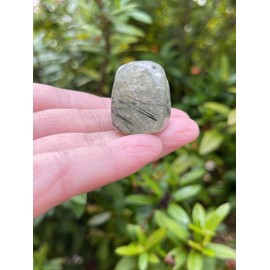 GAF TREASURES Wholesale Prehnite with Rutile Tumbled Stones, Polished Natural Prehnite with Rutile Gemstone, Prehnite with Rutile Polished Rocks (Prehnite with Rutile, 0.25 Pound)