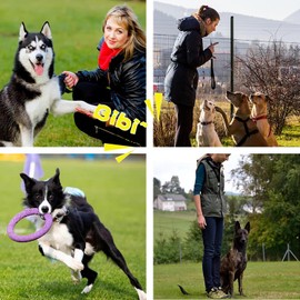 3 Pack Dog Whistle to Stop Barking Neighbors Dog - Adjustable Ultrasonic Silent Dog Whistle for Professional Training & Bark Control, with Lanyard (Black/White) - Effective Recall & Long Range