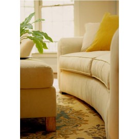 HOWARD Upholstery, Couch, Carpet, Chair, Rug and Blanket Cleaner Quickly Removes Stains, Dirt, and Odors, 16 oz Spray Bottle