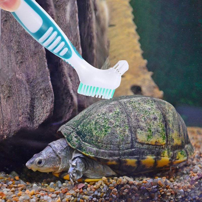 HAICN 2Pcs Turtle Cleaning Brush Turtle Shell Cleaning Brush Mini