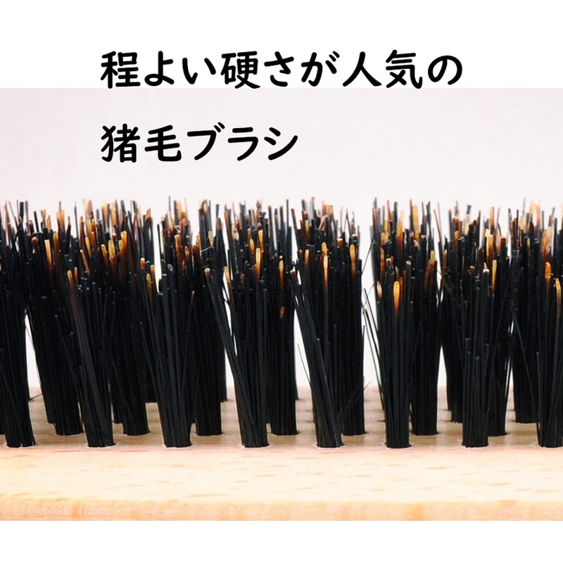 Hair Brush, Boar Bristle, Anti-Static, Natural Shiny and Shiny for