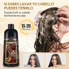 Kaisasa Shampoo Con Tinte Cubre Canas Matizador 2 Pzs