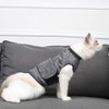 Cat Anxiety Jacket, Cat Anti Anxiety Vest, Thunder Vest for