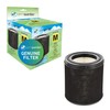 Germ Guardian FLT4700 360-degree True HEPA Genuine Air Purifier Replacement