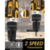 21V Cordless Drill Driver Kit, 25+1 Clutch, 2 Batteries &