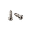 License Plate Screws 1/4-3/4, Self-Tapping, Stainless Steel (Silver)