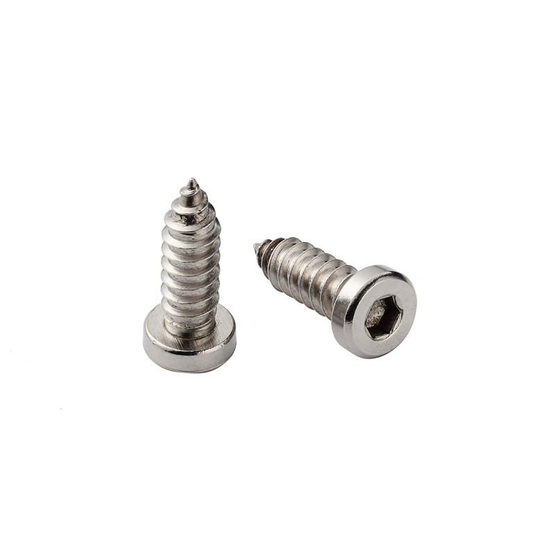 License Plate Screws 1/4-3/4, Self-Tapping, Stainless Steel (Silver)