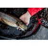 Countdown Elite 55 Gilded Brown Trout