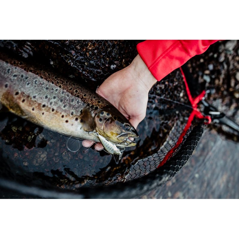 Countdown Elite 55 Gilded Brown Trout