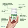 Ginkgo Biloba 6000 mg – 90 vegane Tabletten – Lutein-freier 50:1