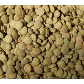 DRIED LENTILS Beans | 20 LBS (Pounds) | USA Grown | Bulk Wholesale Supply | Stock Your PANTRY DINER KITCHEN HOTEL