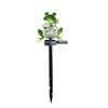 Solar Outdoor Lawn Lamp Frog Spring Garden Decoration Light Waterproof
