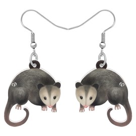 WEVENI Acrylic Lovely Possum Earrings Possum Dangle Novelty Jewelry For Women Girls Dainty Gift (Anchor)