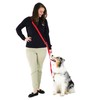 Blue-9 Multi-Function Hands Free Dog Leash, Double Attachment 6 Foot