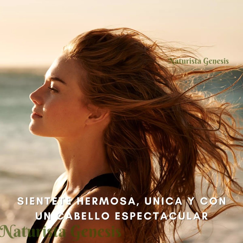 El oasis Tinte Natural Henna En Polvo El Oasis 250g