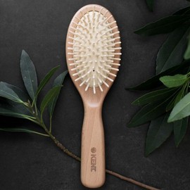 KENT Cushion (M) Hairbrush No 11 Do not select / KENT 쿠션(M) 헤어브러쉬 No 11 선택안함