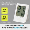 Ohm Electric Thermometer, Hygrometer, Thermometer, Hygrometer, Indoor, Compact, Mini Table