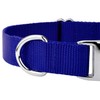 Country Brook Petz Premium Nylon Dog Collar with Metal Buckle