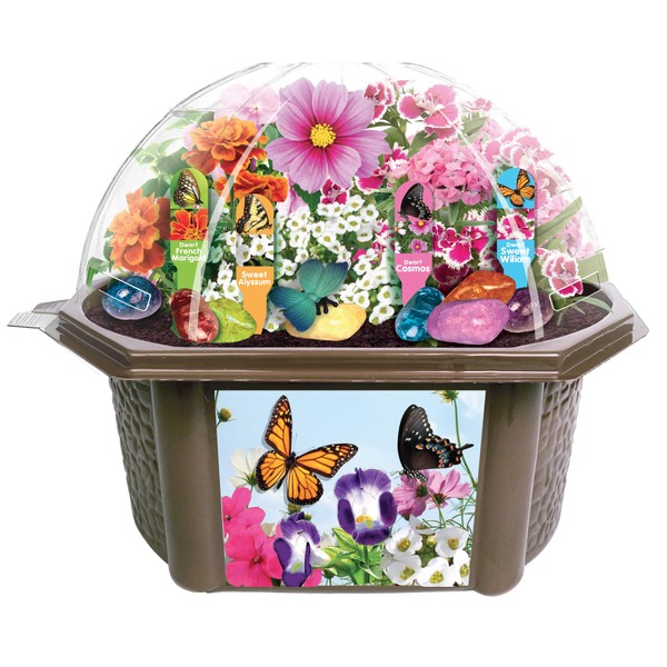 TOYS BY NATURE Grow Your Own Butterfly Garden - Delightful Sweet Smelling Flowers - Includes Everything Needed to Create Your Beautiful Butterfly Biosphere