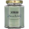 Sinus Relief Scented Blended Soy Candle by Just Makes Scents