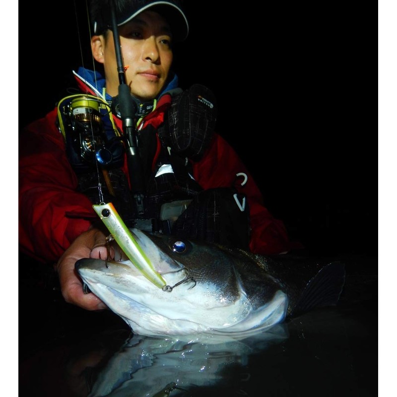 ECLIPSE Balor 90 Minnow, Lure, Lens Candy Glow Berry #087