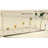 Bean Germination in 6.3" Crystal Clear Lucite Resin Paperweight Block