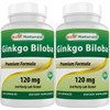 Best Naturals, Ginkgo Biloba Extract - Double Strength Ginkgo Biloba,