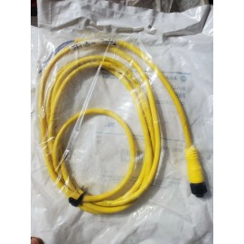 Allen-Bradley 889D-F4AC-2 Series B 4 Pin DC Micro Straight 2 Meter QD Cordset