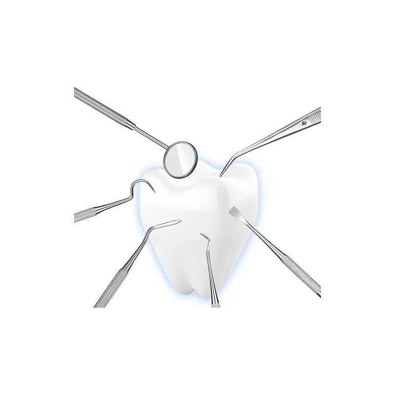 Herramienta Limpieza Dental Acero Quita Sarro 9 Piezas Kit