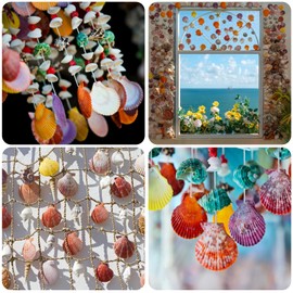 Lanwexy 25PCS Sea Shells Scallop Shells Natural White Sea Shells for DIY Craft Crafting,Painting,Baking,Home Decor and Beaching Wedding Decoration (6-8CM) Seashells Bulk