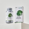 10 billion lactic acid bacteria probiotics for intestinal health /