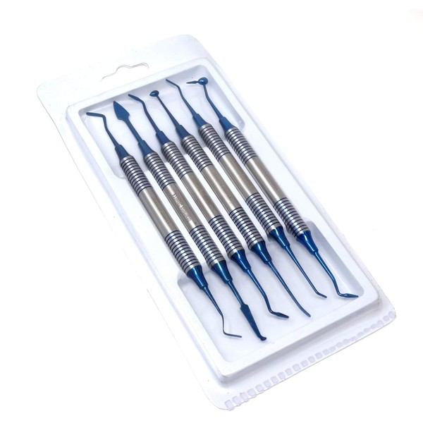 Set of 6 Dental Composite Placement Instruments Hand Carving Dentistry
